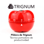 Trignum Arquitectura